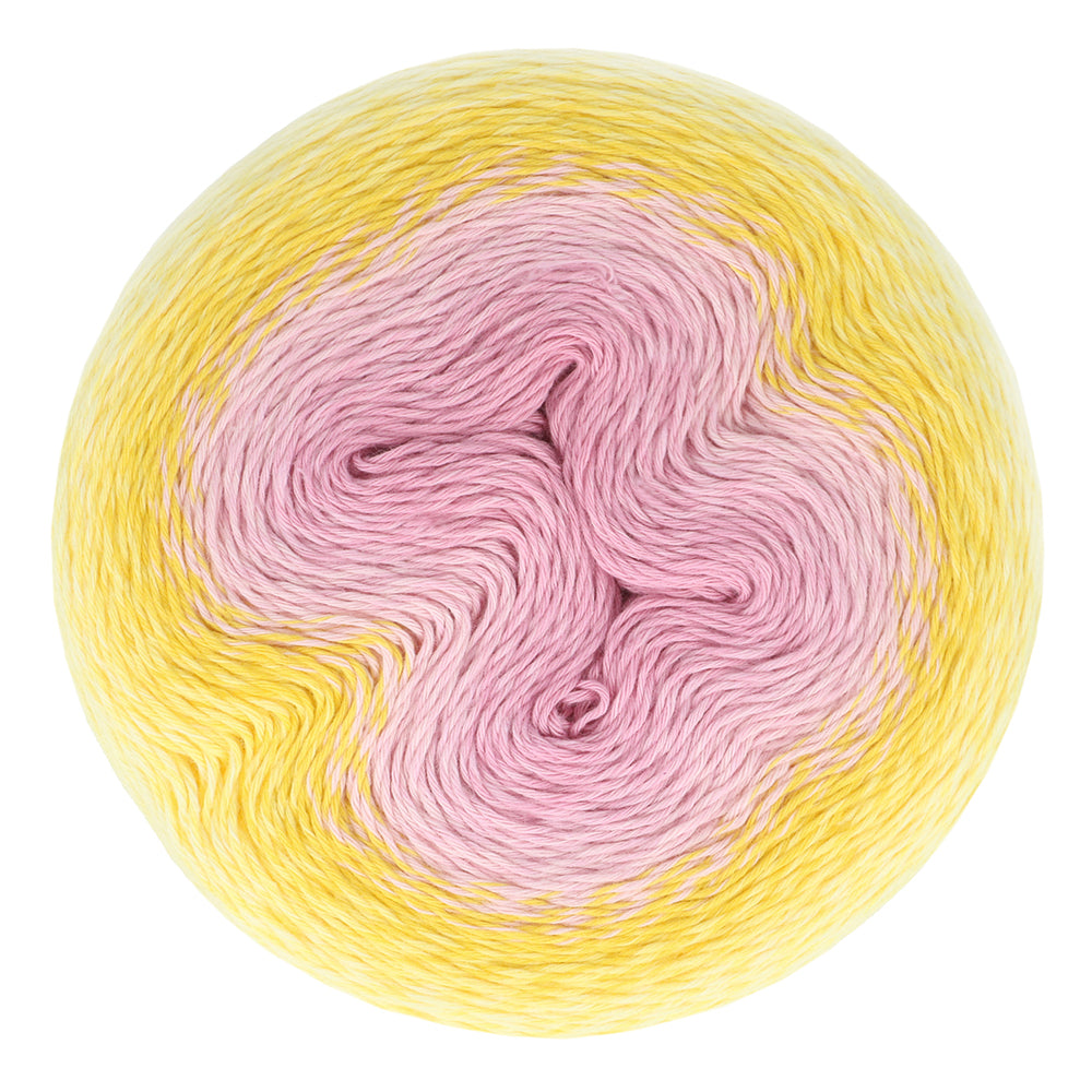 *Group Order* Scheepjes Whirl
