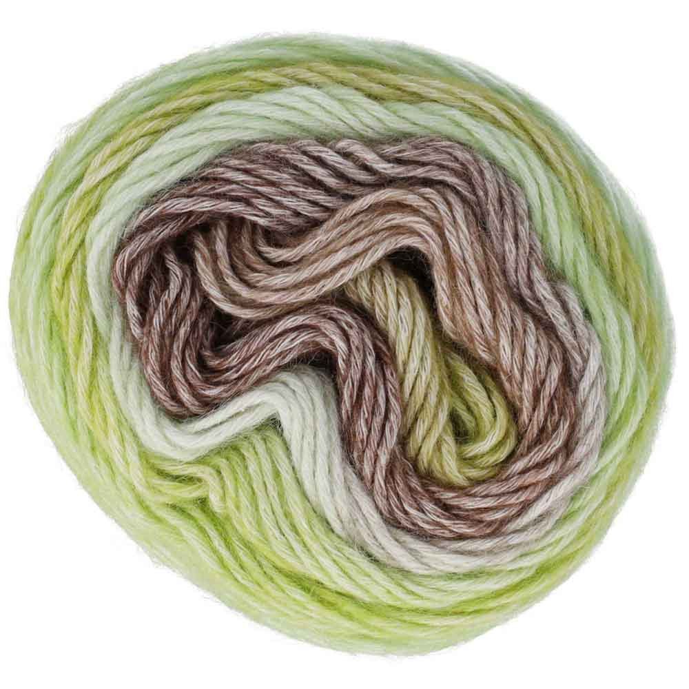 *Group Order* Scheepjes Stone Washed Flow