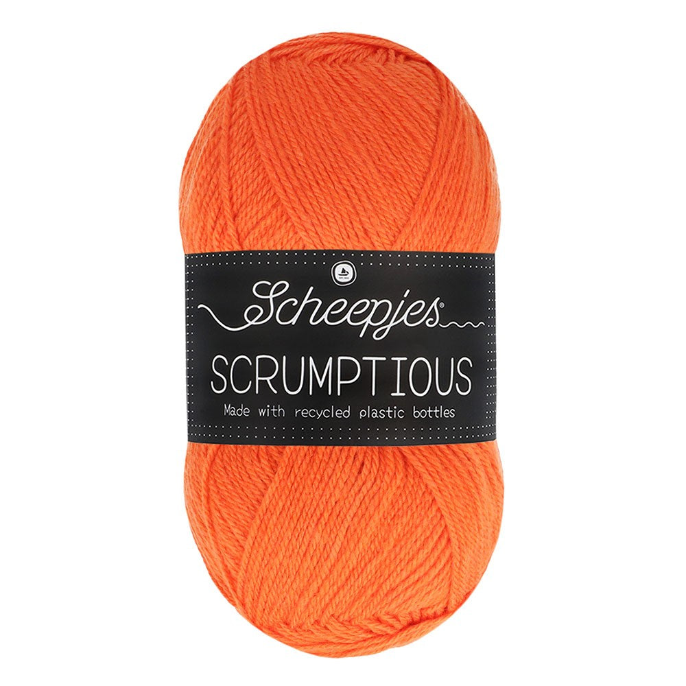 *Group Order* Scheepjes Scrumptious 100g