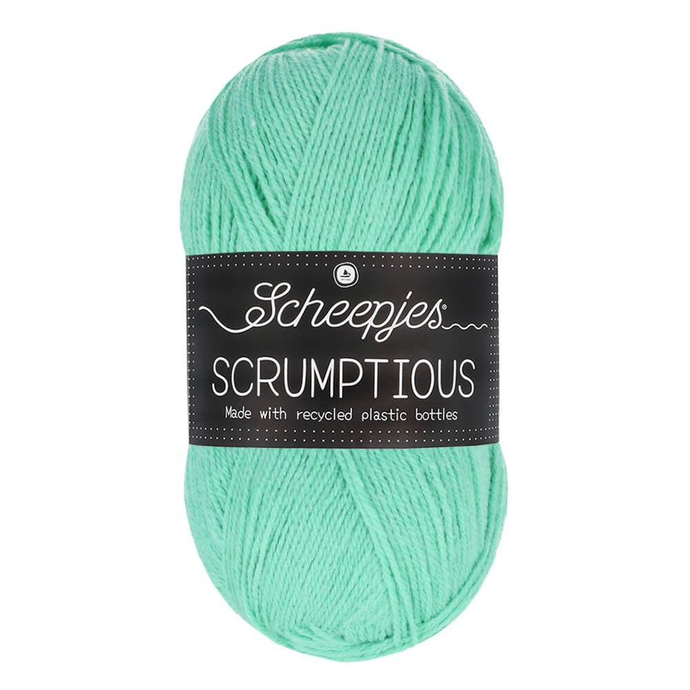 *Group Order* Scheepjes Scrumptious 100g