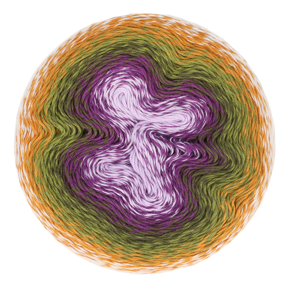 *Group Order* Scheepjes Whirl