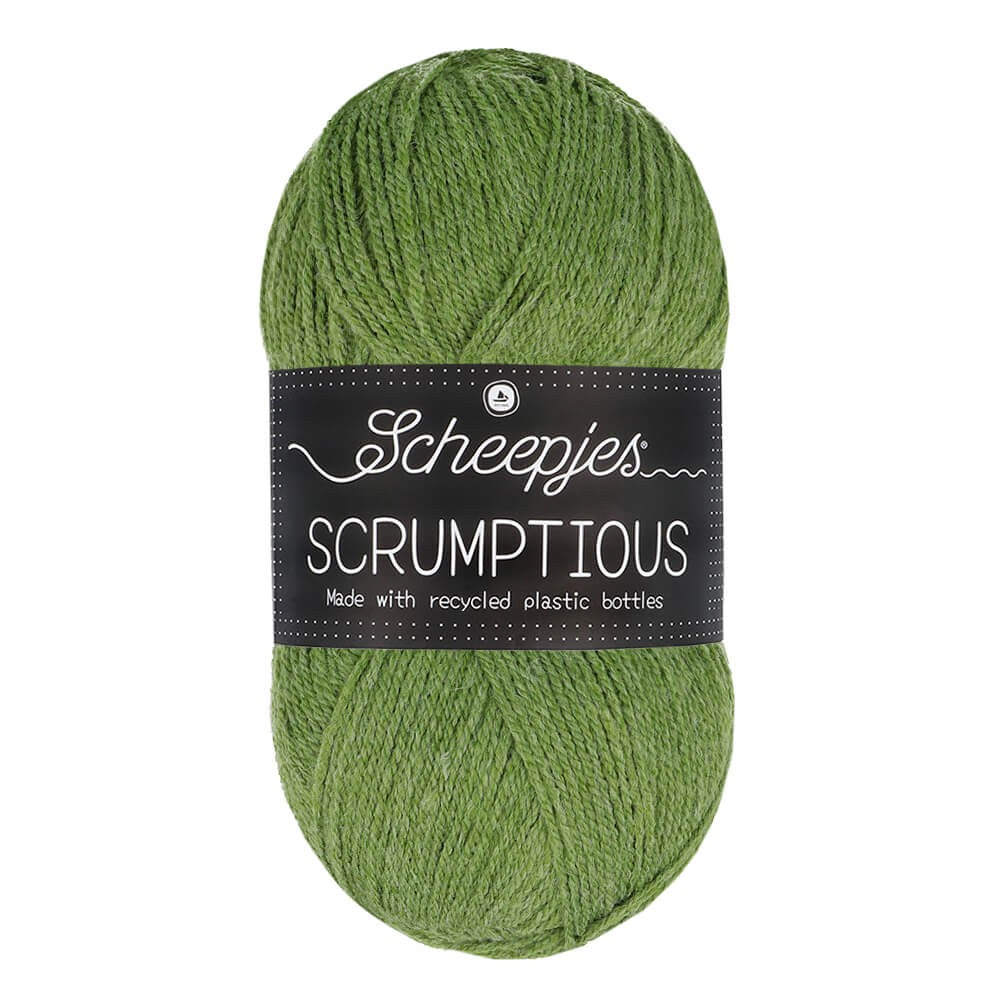 *Group Order* Scheepjes Scrumptious 100g