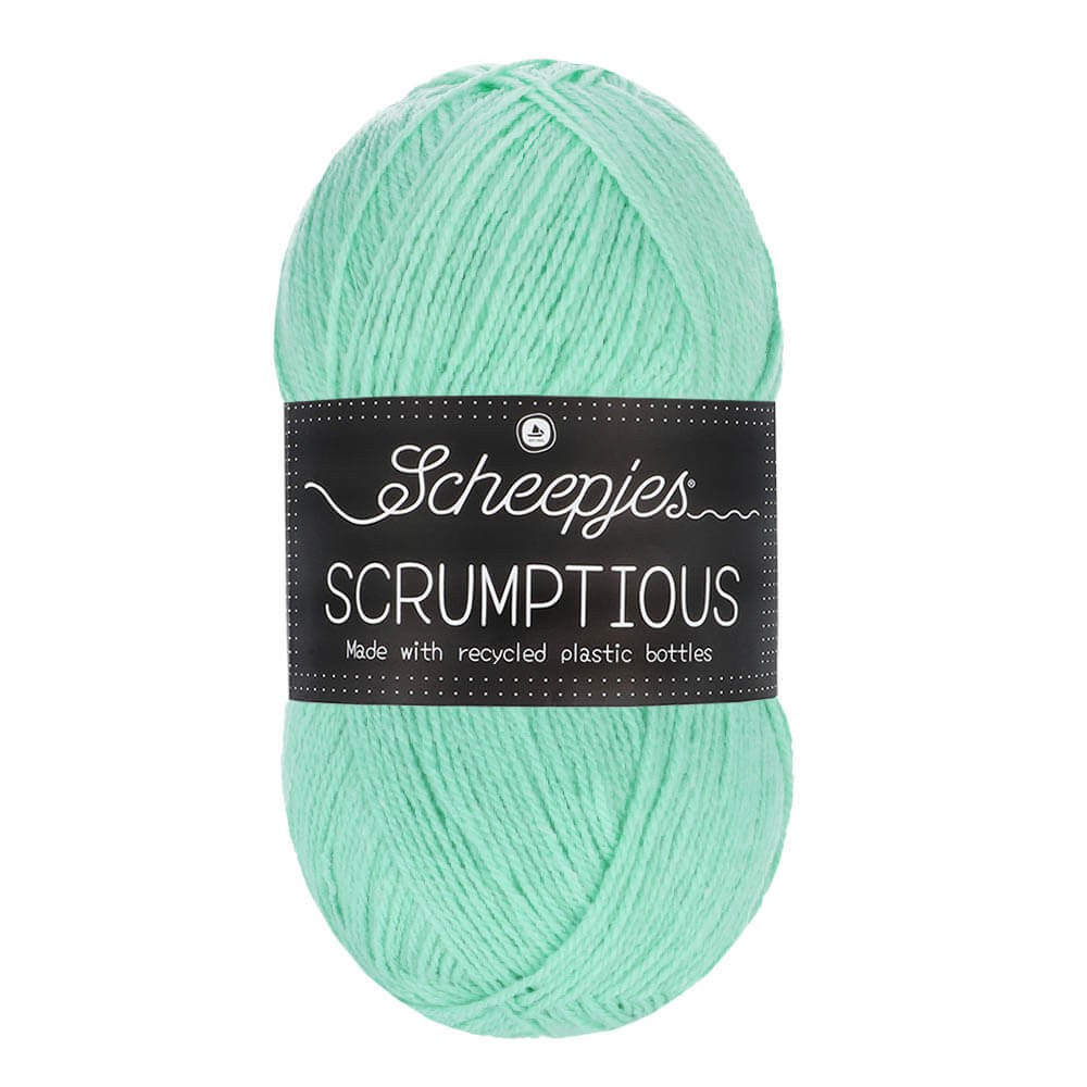 *Group Order* Scheepjes Scrumptious 100g