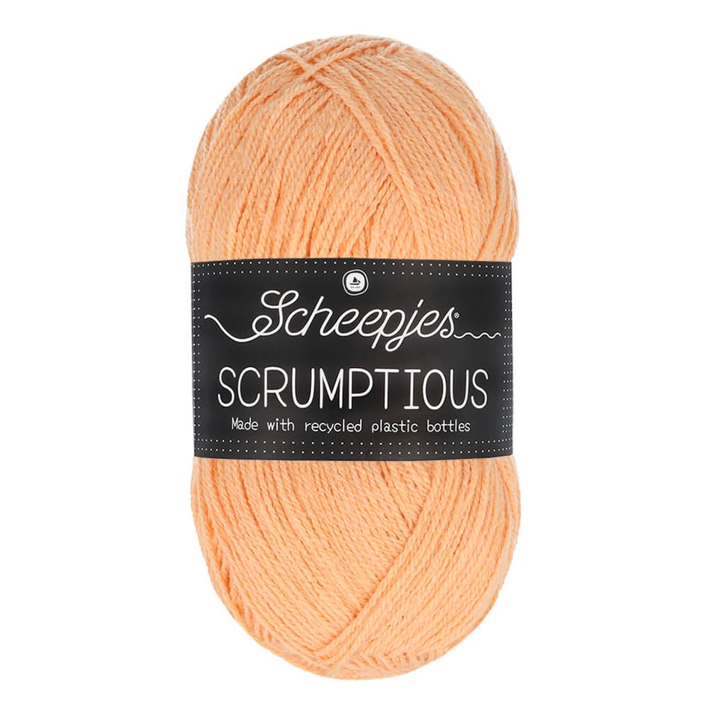 *Group Order* Scheepjes Scrumptious 100g