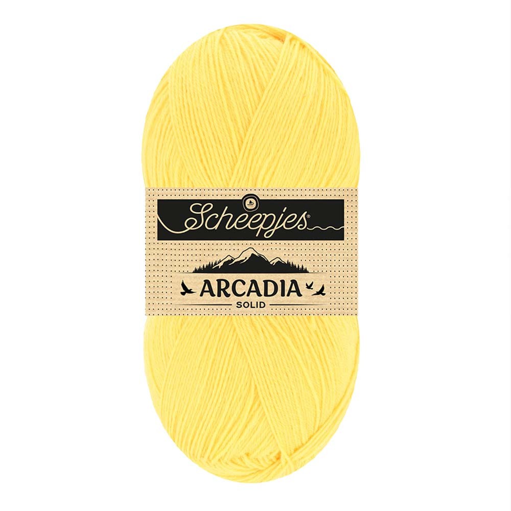 *Group Order* Scheepjes Arcadia Solid 100g