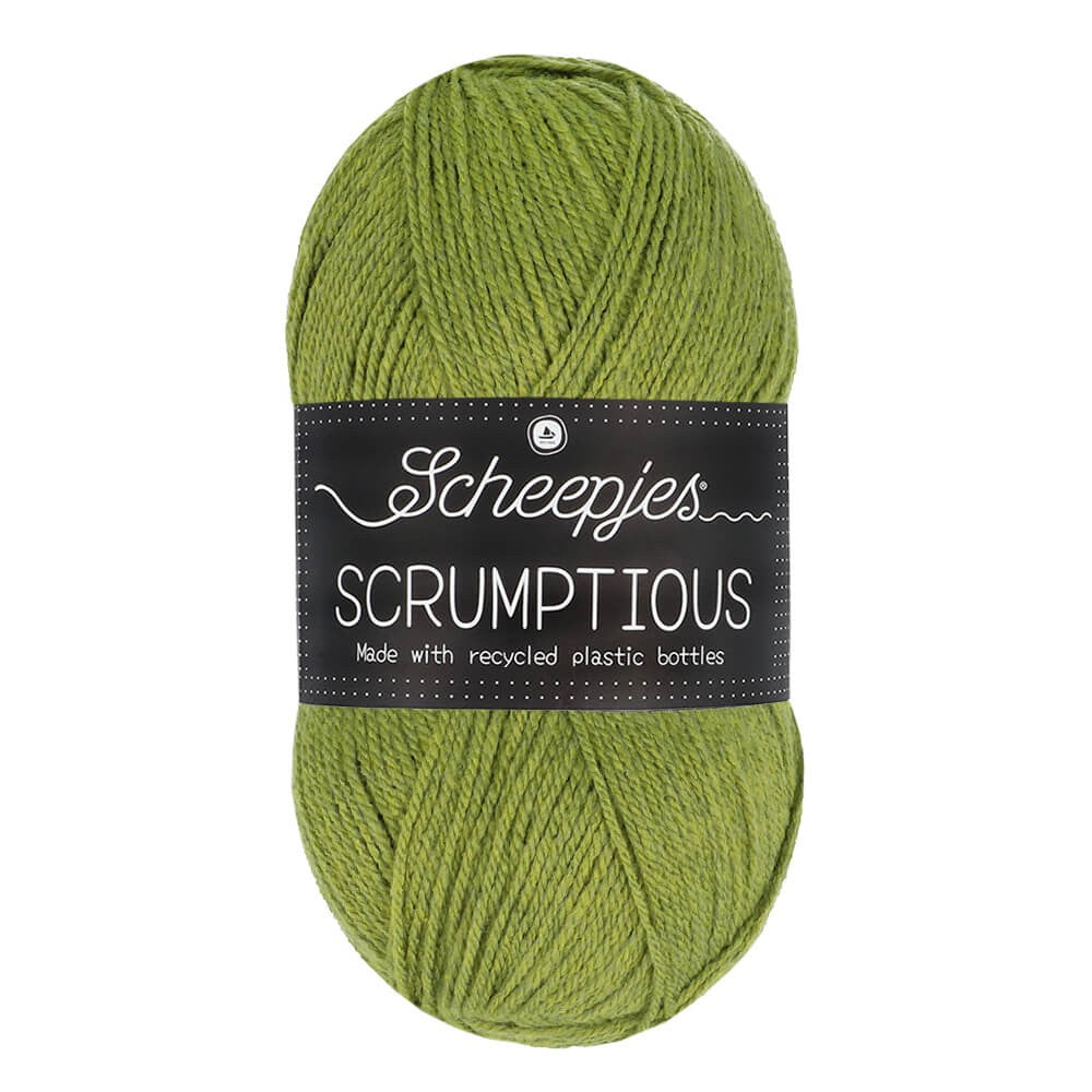 *Group Order* Scheepjes Scrumptious 100g