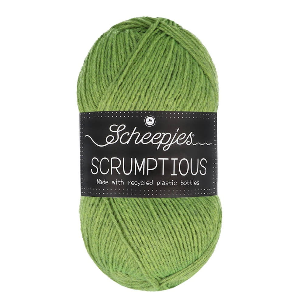 *Group Order* Scheepjes Scrumptious 100g