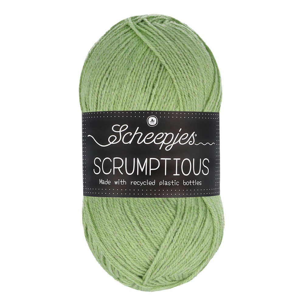 *Group Order* Scheepjes Scrumptious 100g