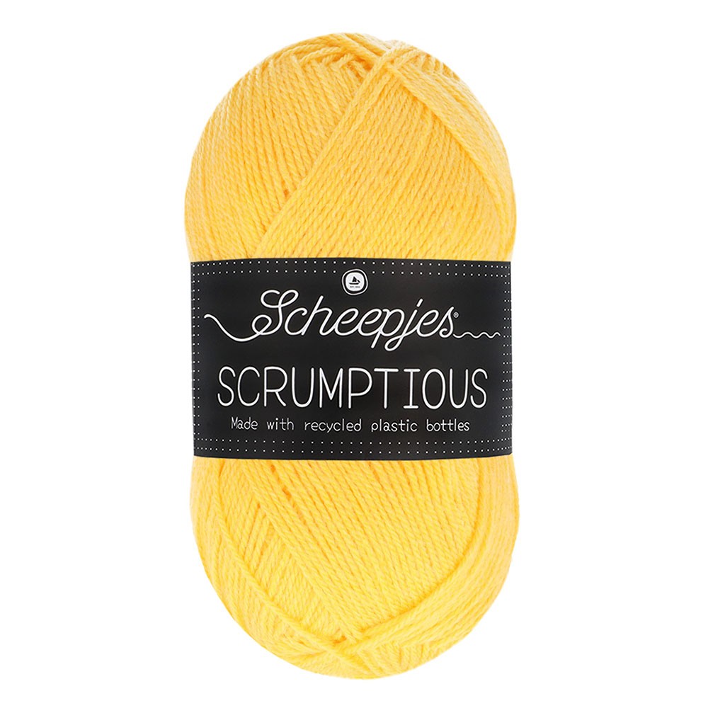 *Group Order* Scheepjes Scrumptious 100g