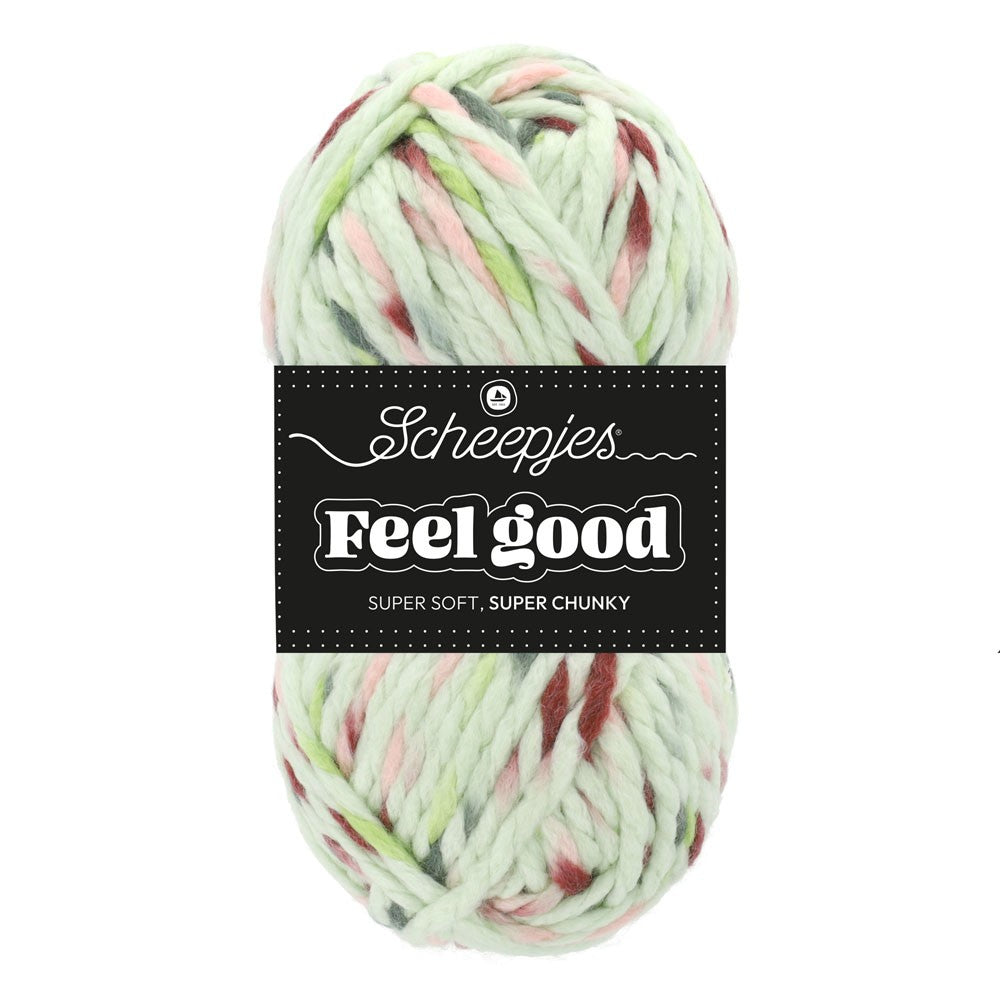 *Group Order* Scheepjes Feel Good 150gr