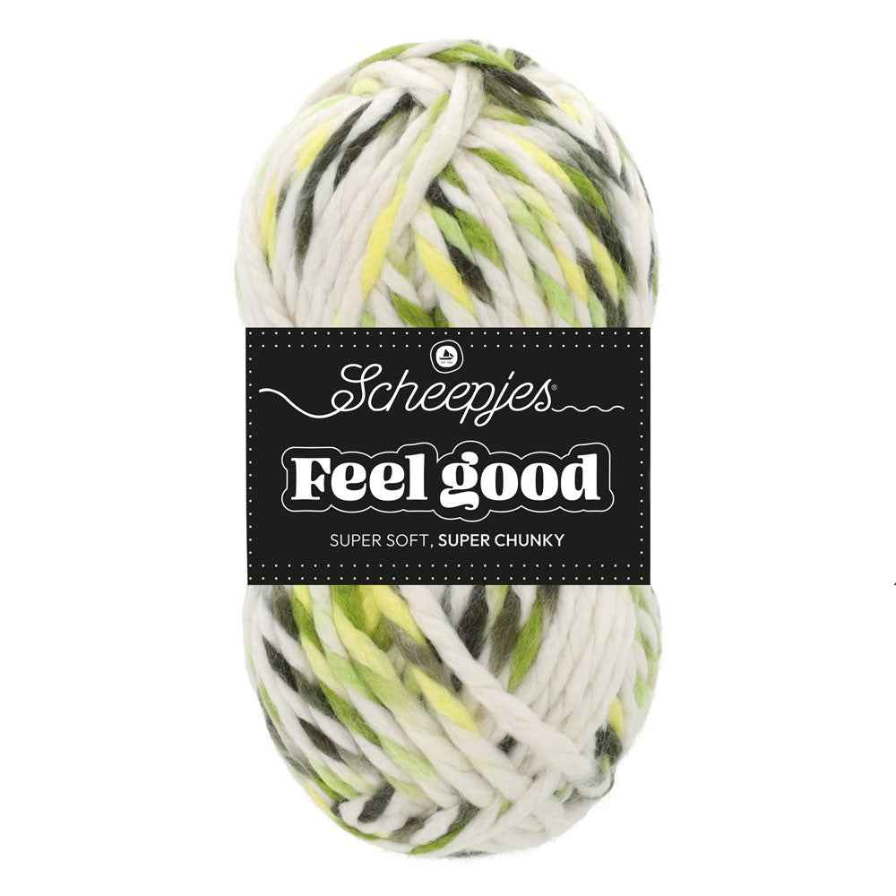 *Group Order* Scheepjes Feel Good 150gr