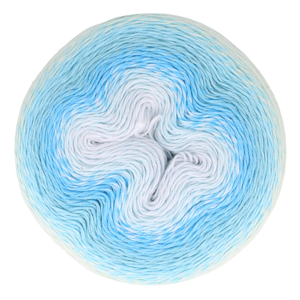 *Group Order* Scheepjes Whirl
