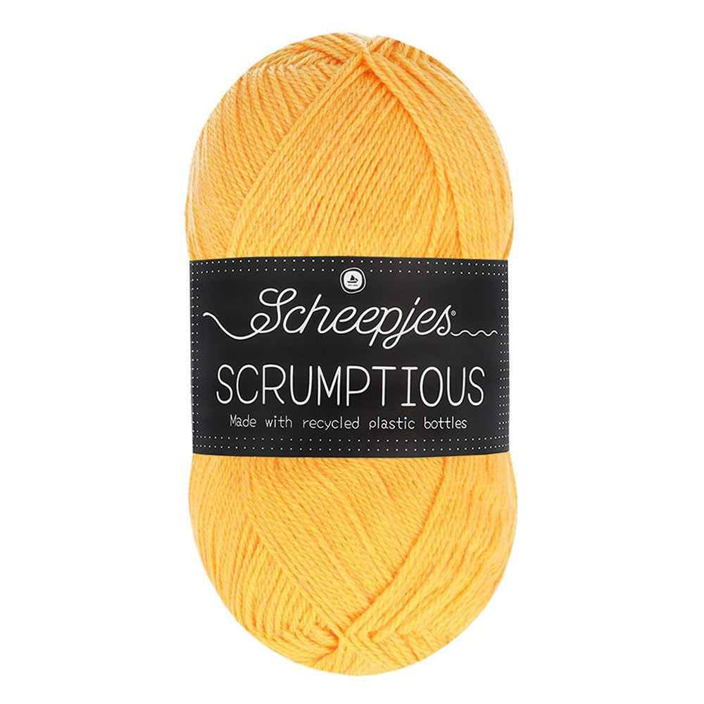 *Group Order* Scheepjes Scrumptious 100g