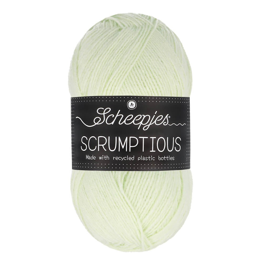 *Group Order* Scheepjes Scrumptious 100g