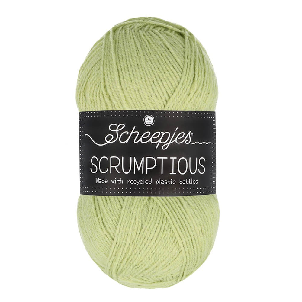 *Group Order* Scheepjes Scrumptious 100g