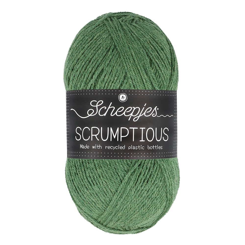 *Group Order* Scheepjes Scrumptious 100g