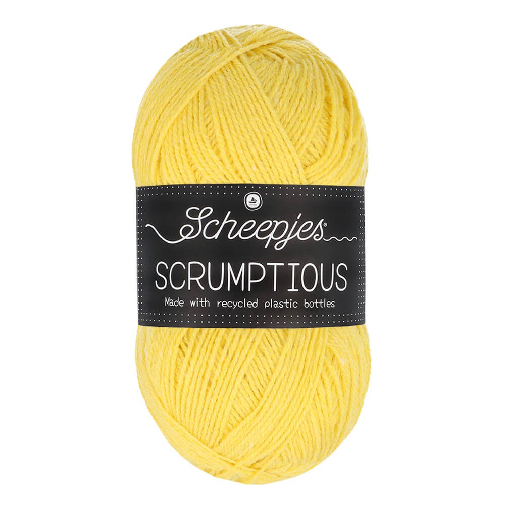 *Group Order* Scheepjes Scrumptious 100g