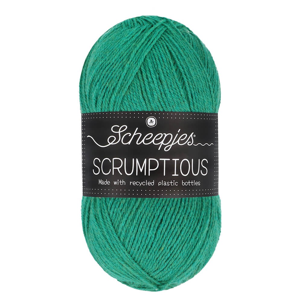 *Group Order* Scheepjes Scrumptious 100g